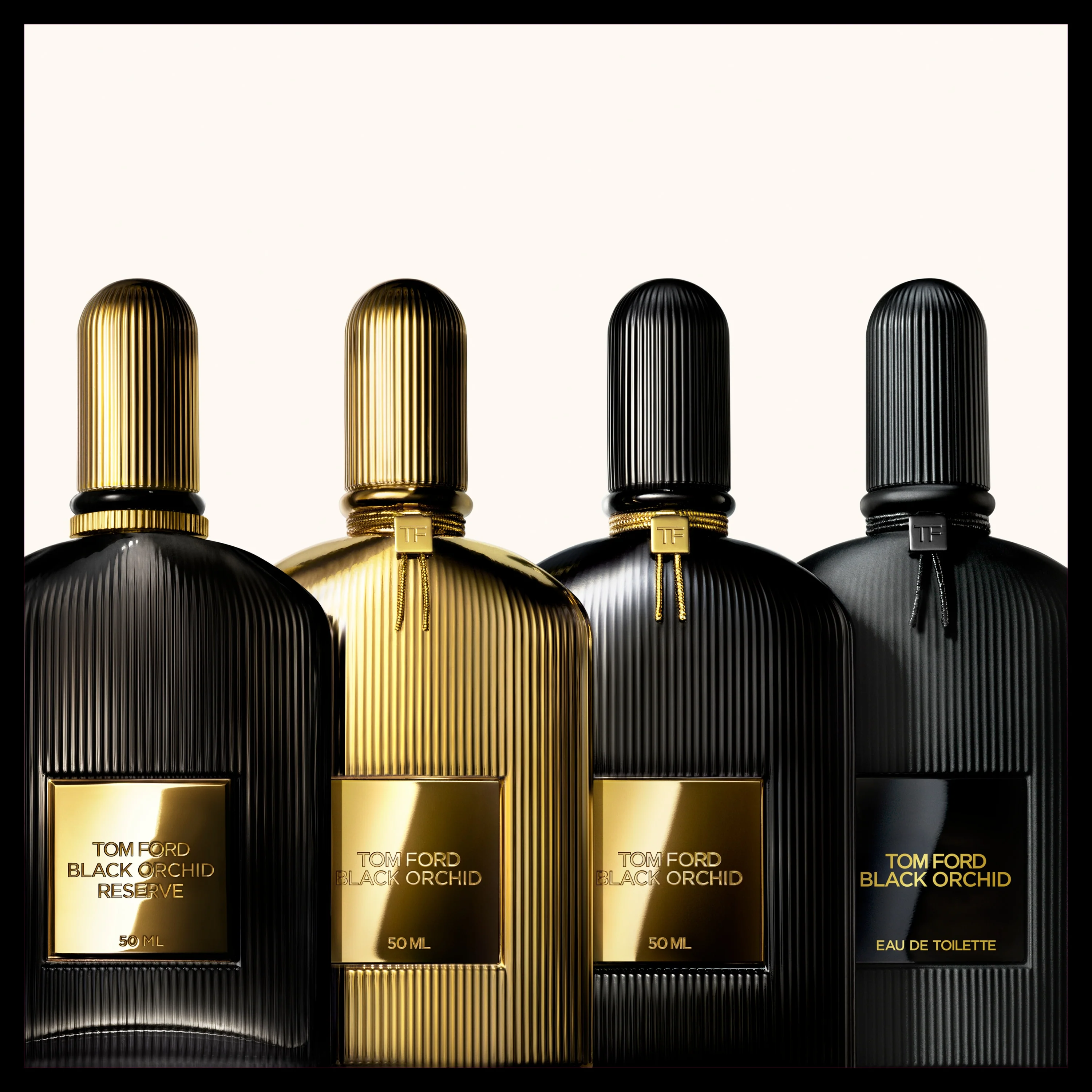 Black Orchid Discovery Collection  - Image 2